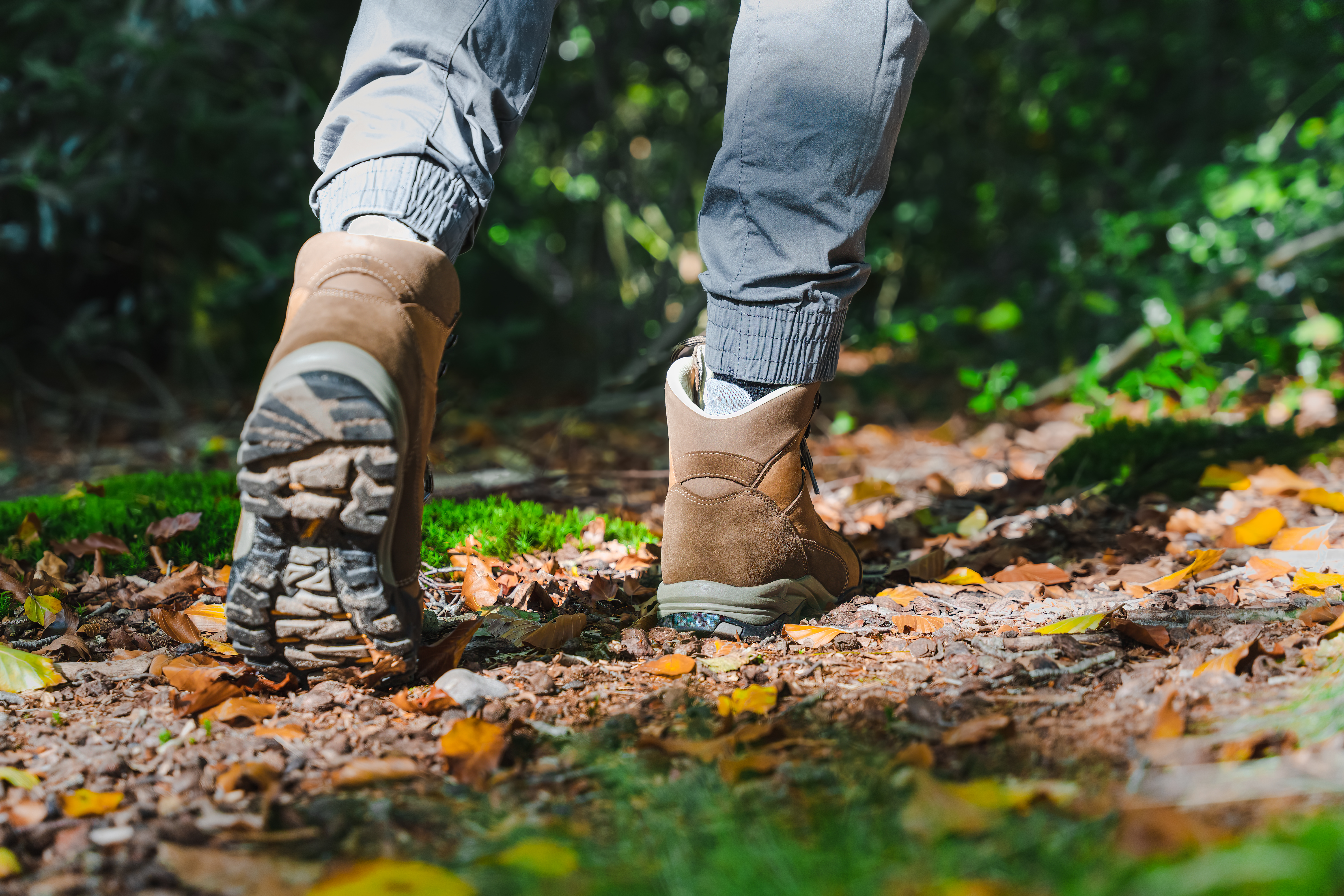 Unrecognizable male traveler or hiker walking in the forest and climbing on hill.